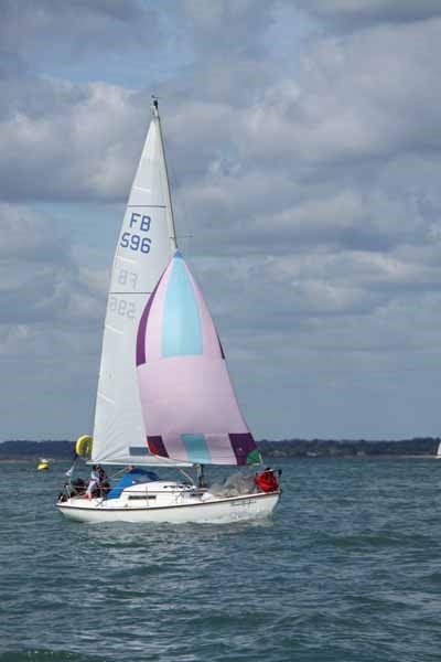 FB596 Sandpiper