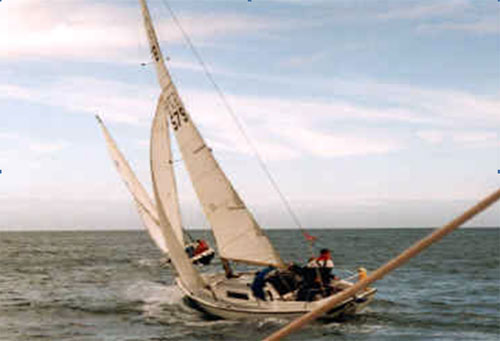 Wave Dancer